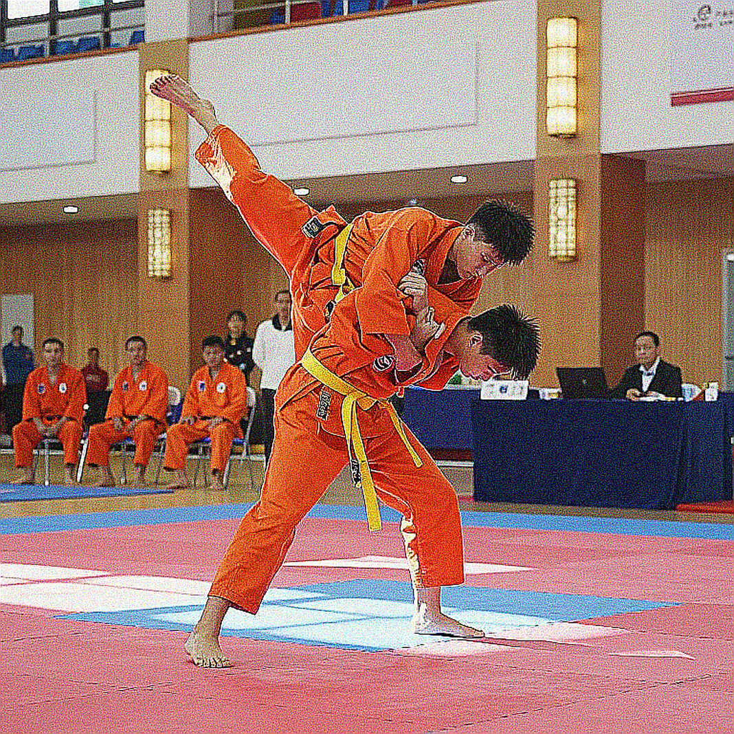 Three Worlds Under One Name: Why Analyzing Vietnamese Martial Arts Fails at the Root Three Worlds Under One Name: Why Analyzing Vietnamese Martial Arts Fails at the Root